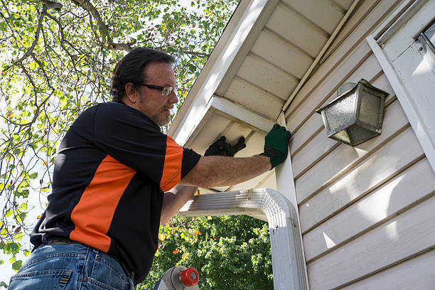 Best Storm Damage Siding Repair  in West Wareham, MA